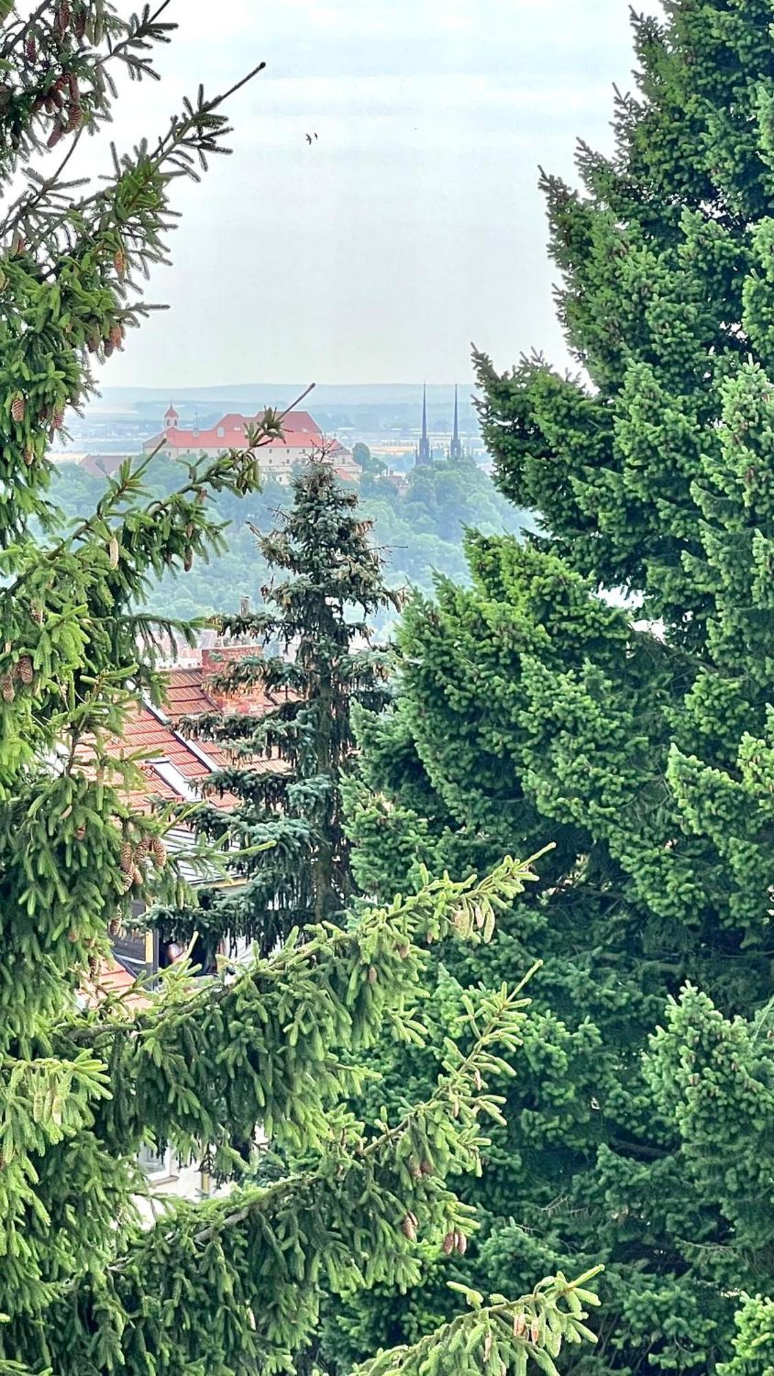 Apartman Se Saunou A Terasou S Vyhledem Na Brno Exterior photo