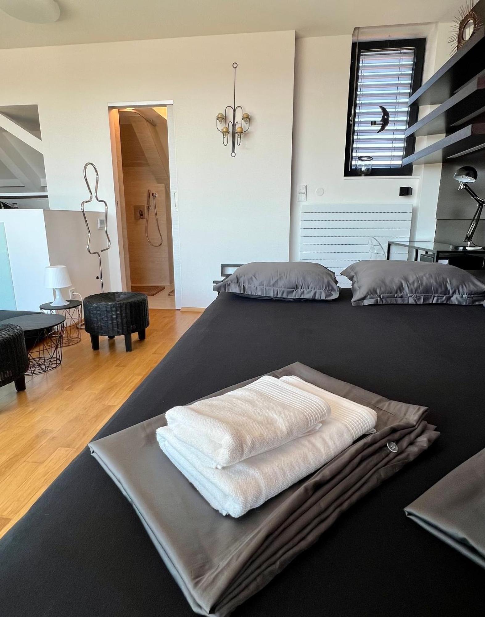 Apartman Se Saunou A Terasou S Vyhledem Na Brno Exterior photo